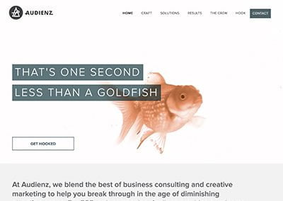Audienz
